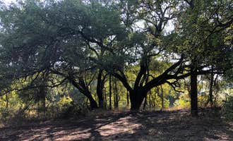 Camping near Pace Bend RV Park: Turkey Bend, Spicewood, Texas