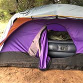 Review photo of North Area Primitive Site — Colorado Bend State Park by Cassandra C., September 11, 2021