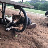 Review photo of North Area Primitive Site — Colorado Bend State Park by Cassandra C., September 11, 2021