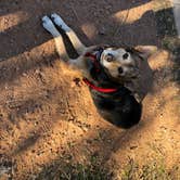 Review photo of Inks Lake State Park Campground by Cassandra C., September 11, 2021