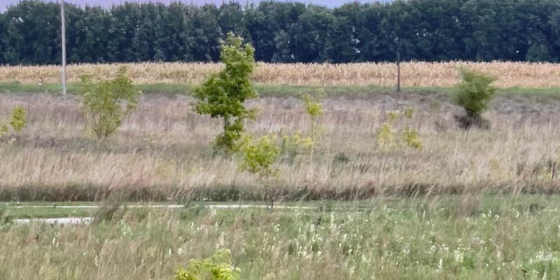 Camper submitted image from Lac qui Parle Upper Campground — Lac qui Parle State Park