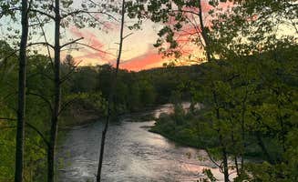 Troy L.'s photo of a dispersed camping area at Manistee River Trail Dispersed Camping near Buckley, MI