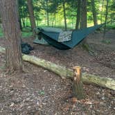 Review photo of Manistee River Trail Dispersed Camping by Troy L., September 11, 2021