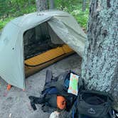 Review photo of Manistee River Trail Dispersed Camping by Troy L., September 11, 2021