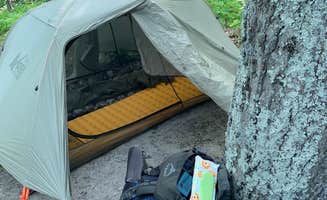 Troy L.'s photo at Manistee River Trail Dispersed Camping near South Branch, MI