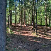 Review photo of Manistee River Trail Dispersed Camping by Troy L., September 11, 2021