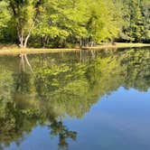 Review photo of Lynchburg / Blue Ridge Parkway KOA by Tracey G., September 11, 2021