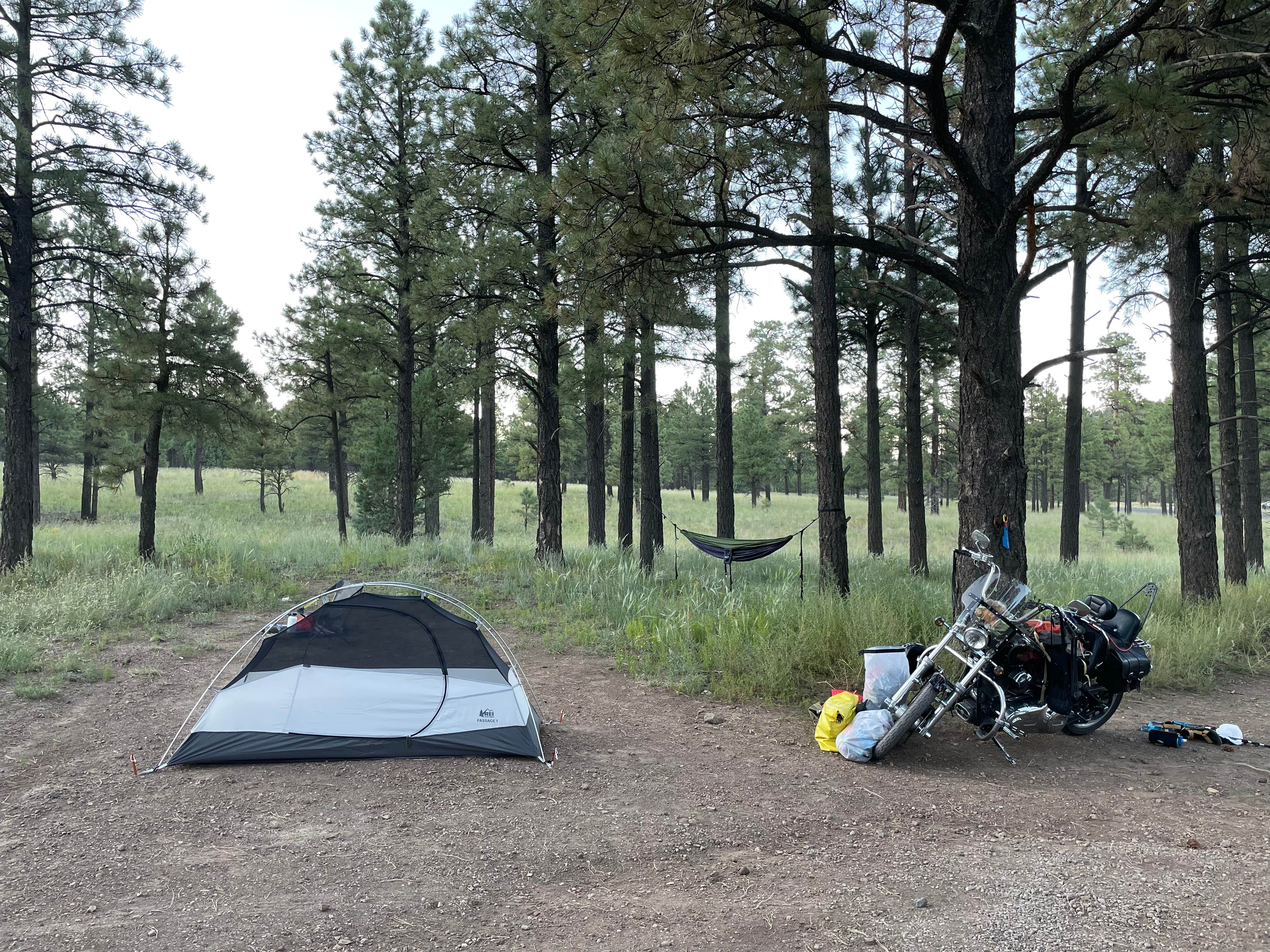 Kris's photo of a dispersed camping area at Lockett Meadow Dispersed Camping near Flagstaff, AZ