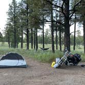 Review photo of Lockett Meadow Dispersed Camping by Kris , September 11, 2021