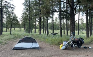 Kris's photo at Lockett Meadow Dispersed Camping near Cameron, AZ
