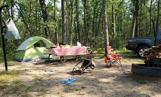 Camping near Hungerford Equestrian Group Campsite: Shelley Lake Campground, Bitely, Michigan