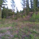 Review photo of Hatchet Campground by Joee R., September 11, 2021