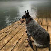 Review photo of Big Spring Campground — Ozark National Scenic Riverway by Shelly S., July 21, 2016