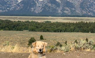 Anna K.'s photo of camping with pets at Winfield City Lake near Haysville, KS