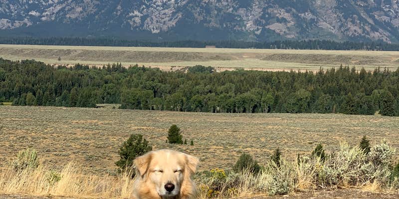 Camper submitted image from Winfield City Lake