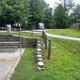 Review photo of New River Alleghany Access Primitive Paddle-in — New River State Park by Jennifer  K., August 31, 2021