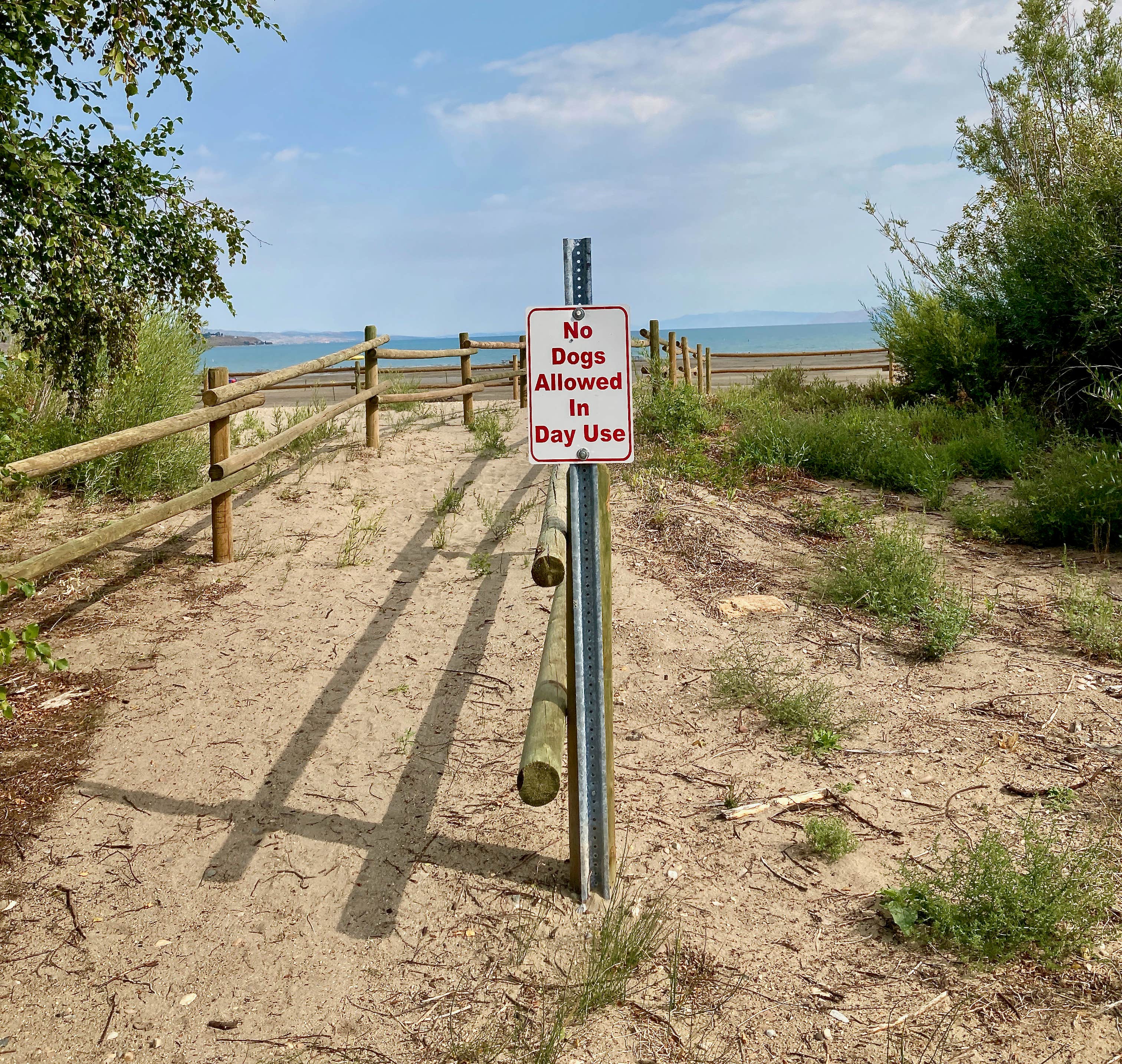 Camper submitted image from Birch Campground — Bear Lake State Park - 4