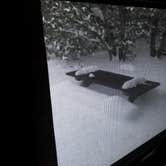 Review photo of Piñon Campground — Lathrop State Park by Lawrence P., September 11, 2021
