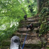 Review photo of Big Spring Campground — Ozark National Scenic Riverway by Shelly S., July 21, 2016