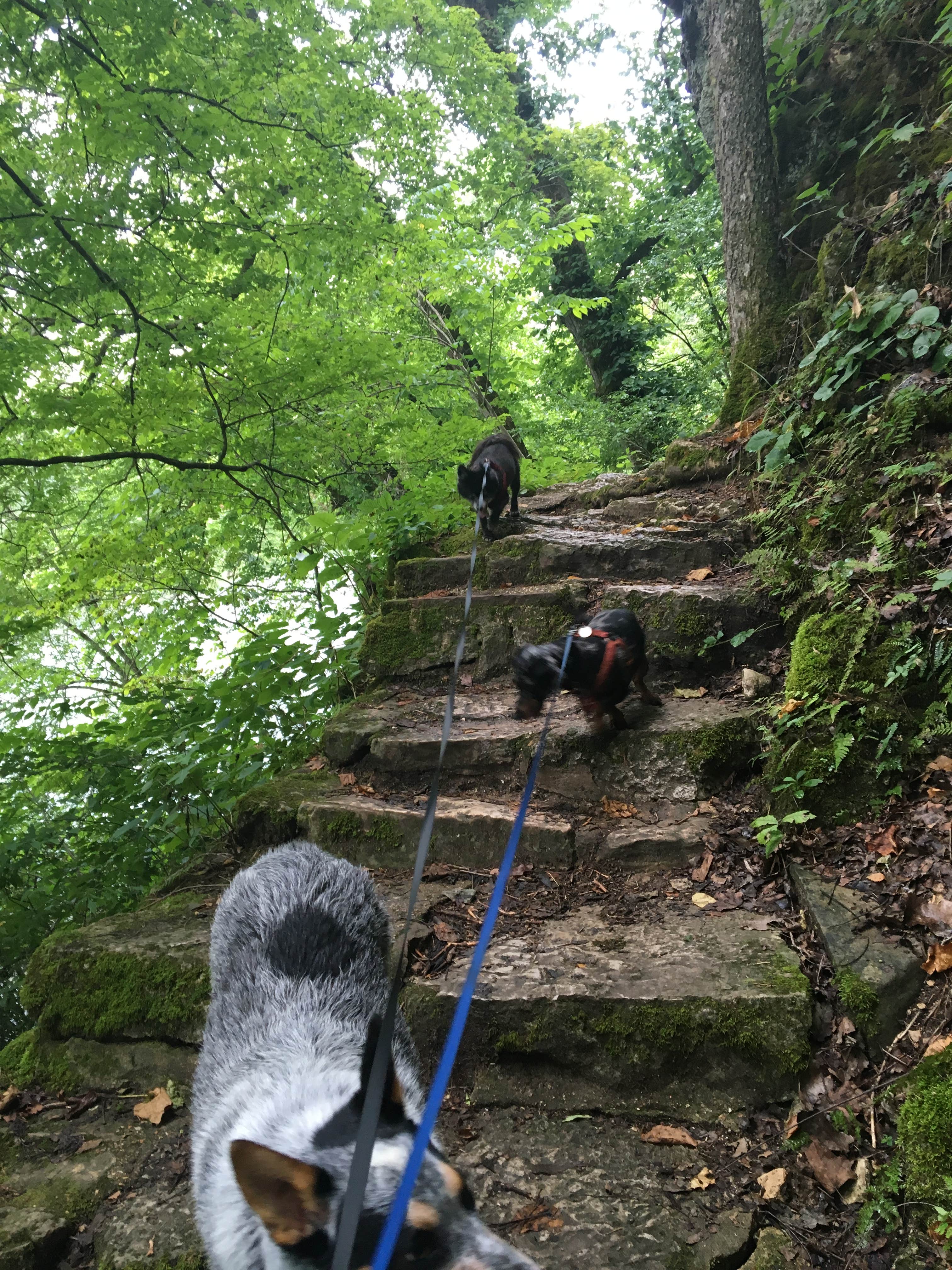 Camper submitted image from Big Spring Campground — Ozark National Scenic Riverway - 2