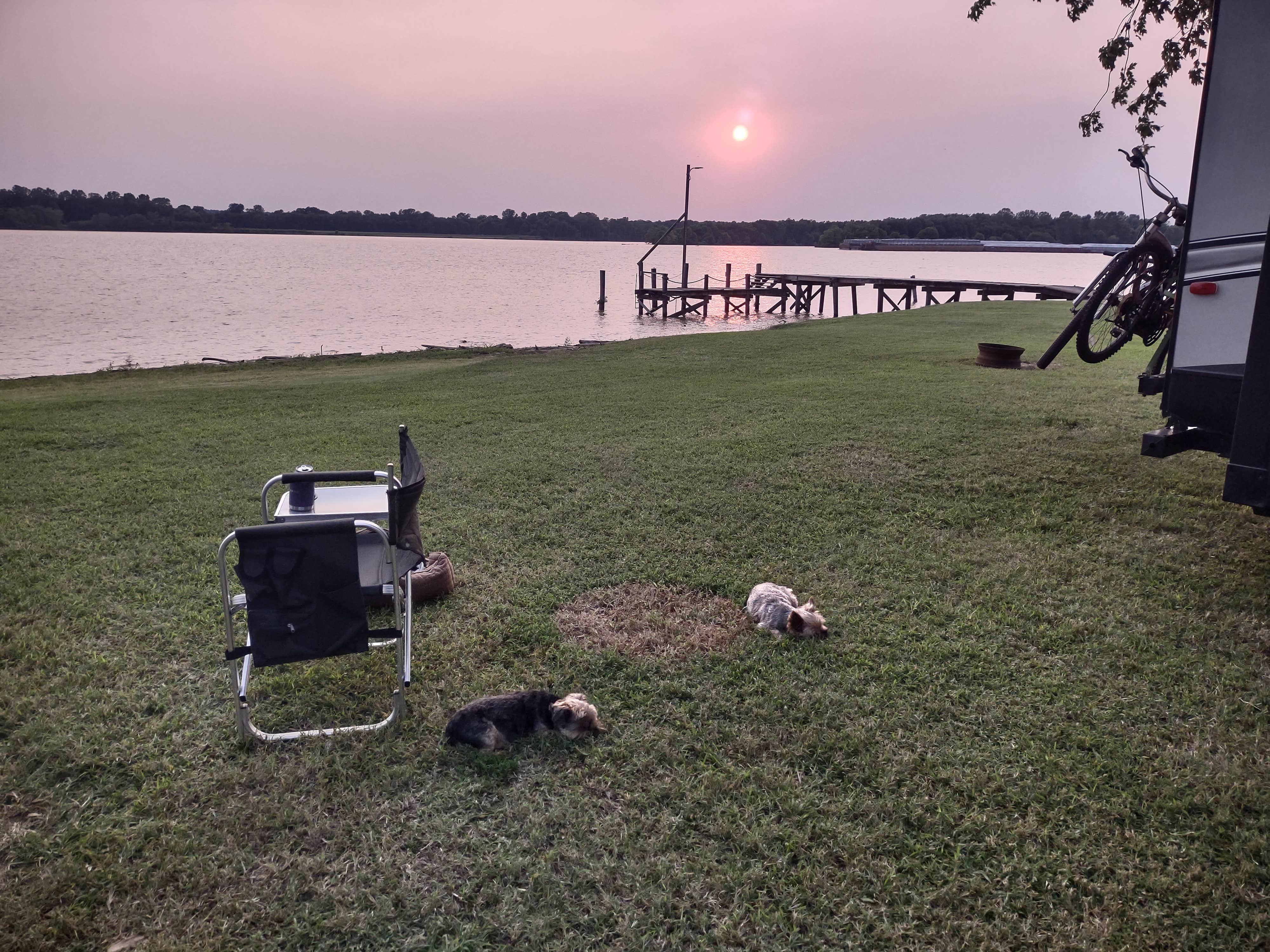 Duwana P.'s photo of camping with pets at Birdsville Riverside RV Park near Paducah, KY