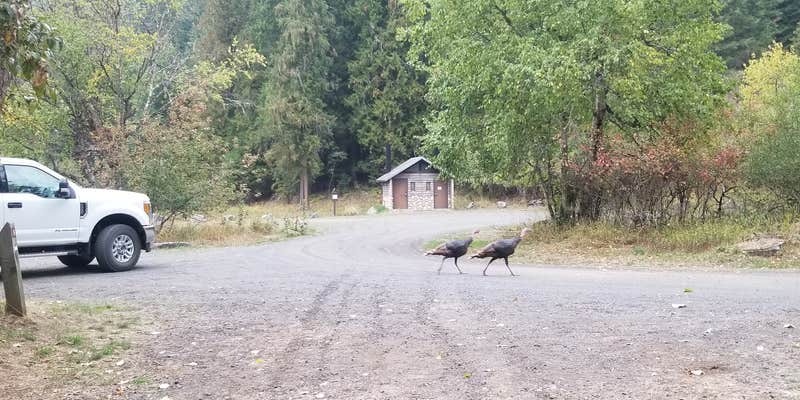 Camper submitted image from Johnson Bar Campground