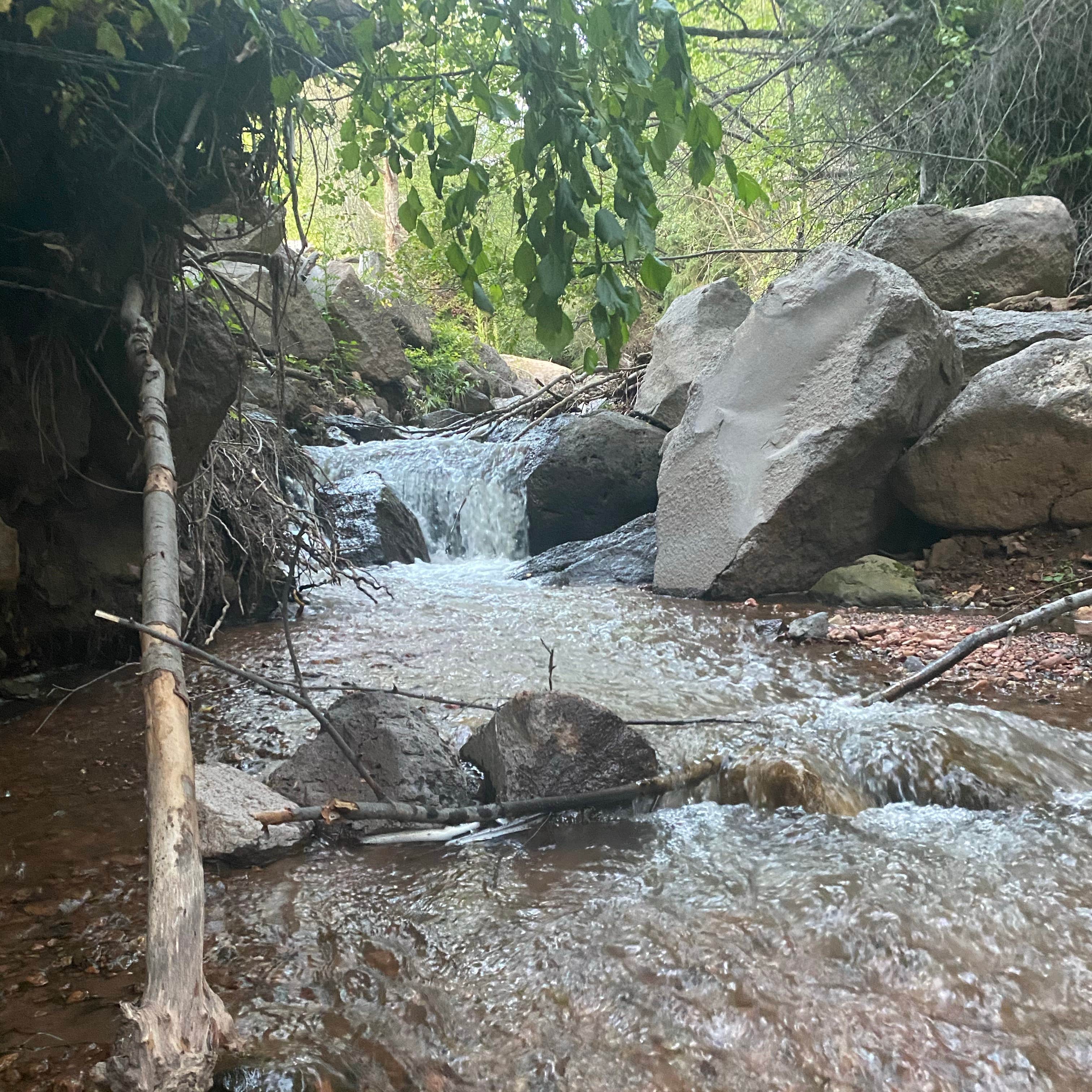 Yankee Meadows Camping The Dyrt