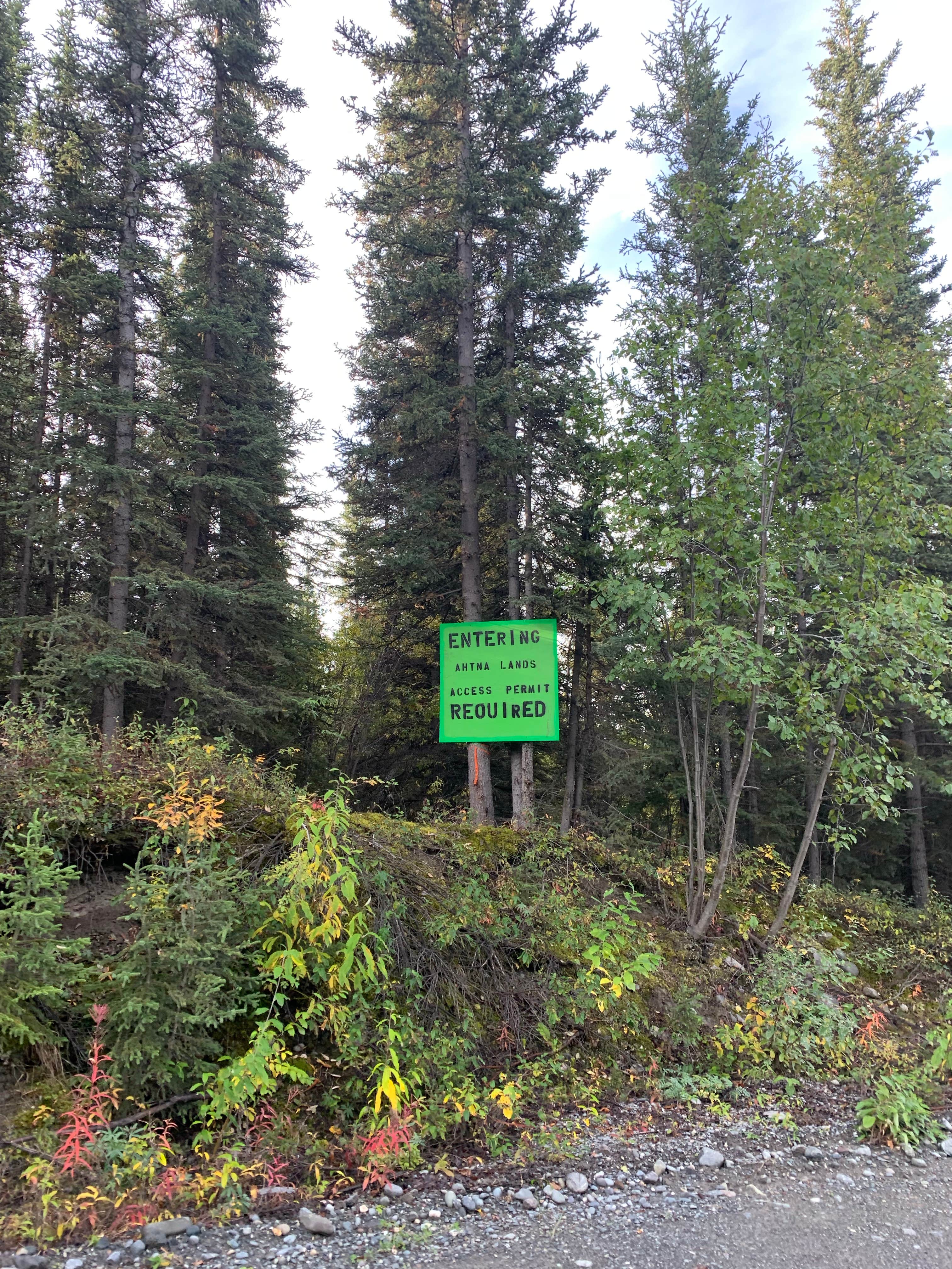 Camper-submitted photo at Sailors Campground- Ahtan Inc near Gakona, AK