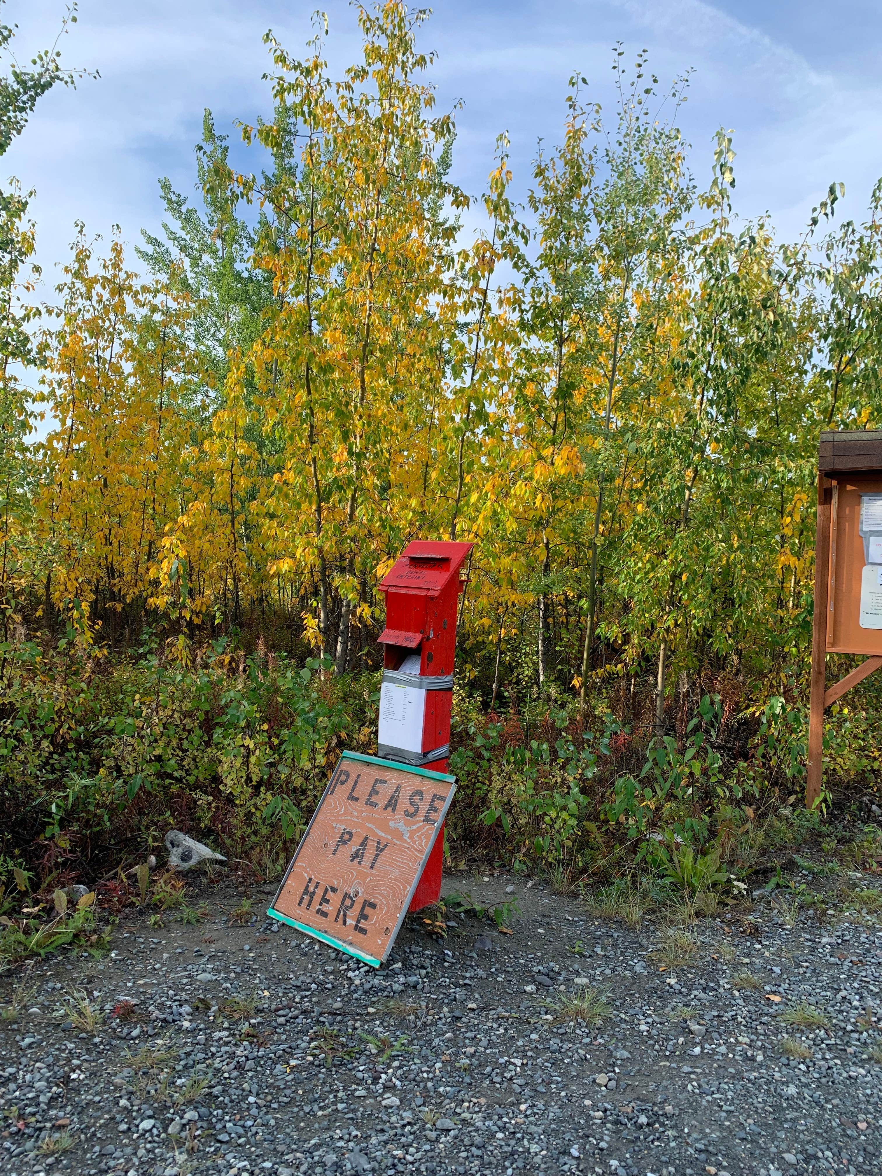 Camper-submitted photo at Sailors Campground- Ahtan Inc near Gakona, AK