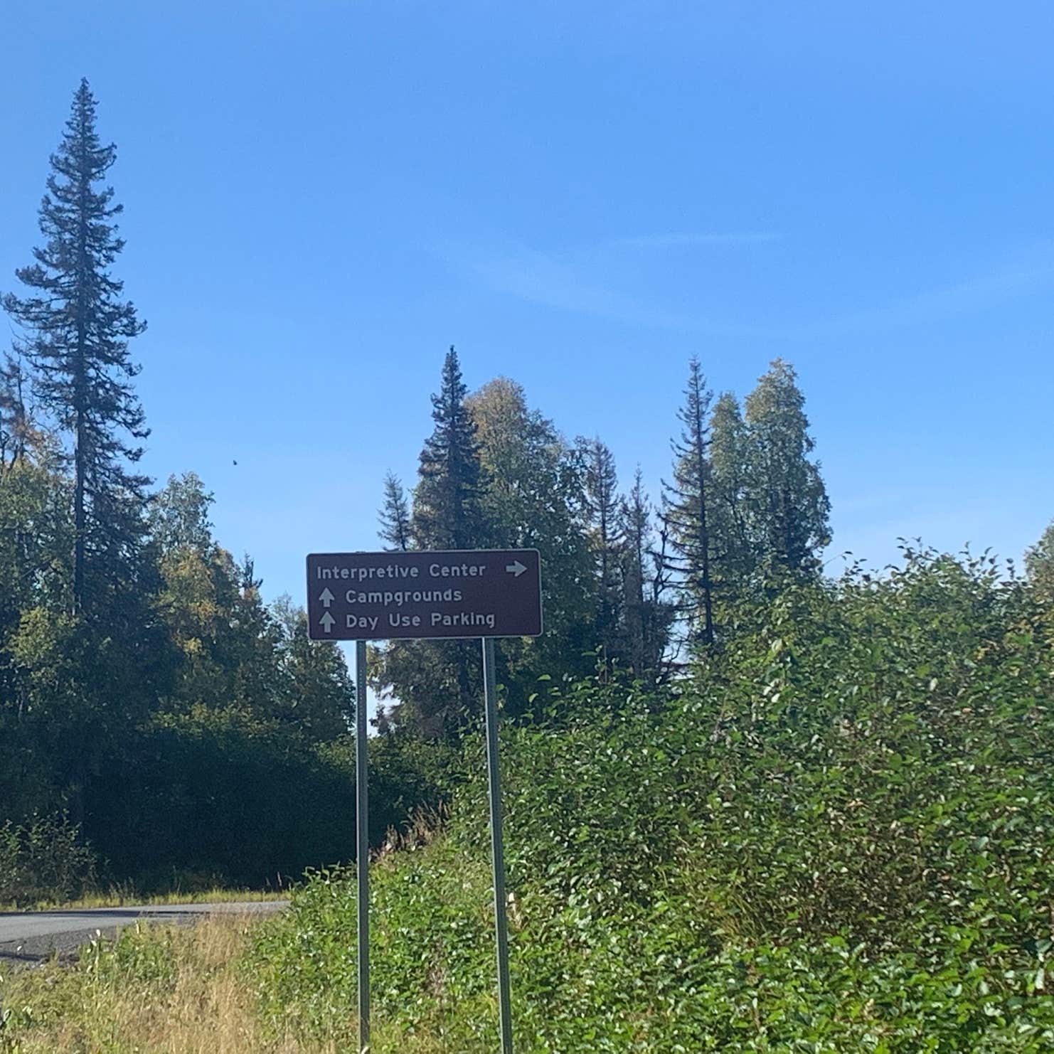 K’esugi Ken Campground Trapper Creek, AK