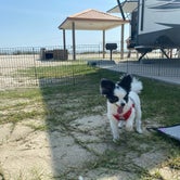 Review photo of Pickled Pelican RV Park by Johnnie S., September 12, 2021