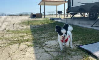 Johnnie S.'s photo of camping with pets at Pickled Pelican RV Park near Sabine Pass, TX