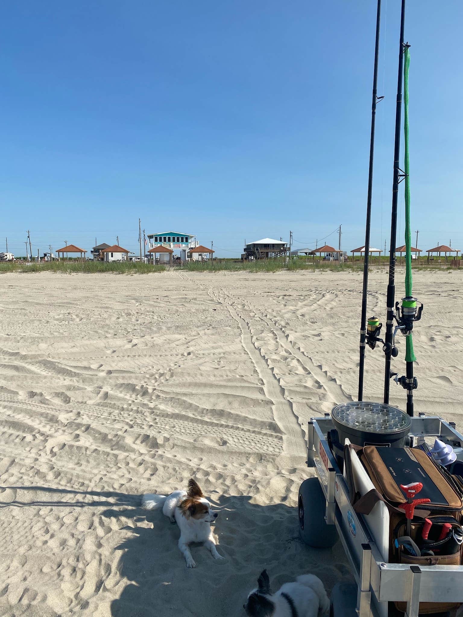 Johnnie S.'s photo of camping with pets at Pickled Pelican RV Park near Sabine Pass, TX