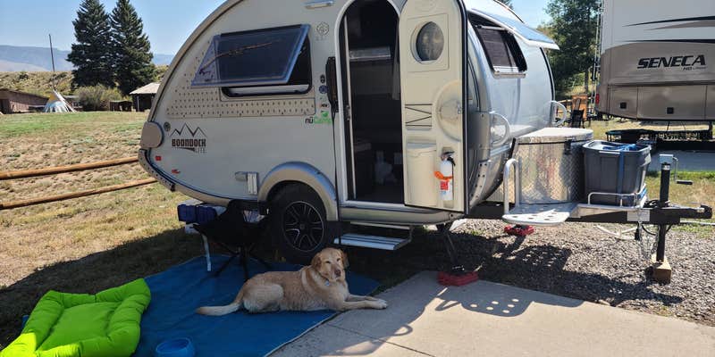 Camper submitted image from Antlers Rio Grande Lodge and RV Park