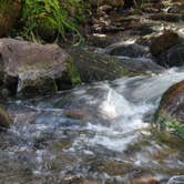 Review photo of Ophir Creek Campground (Co) — Psicc by Randy H., September 12, 2021
