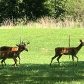 Review photo of Spavinaw — Grand Lake State Park by Aaron T., September 12, 2021