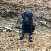 Review photo of Stevens Gap Campground by Aaron T., September 12, 2021