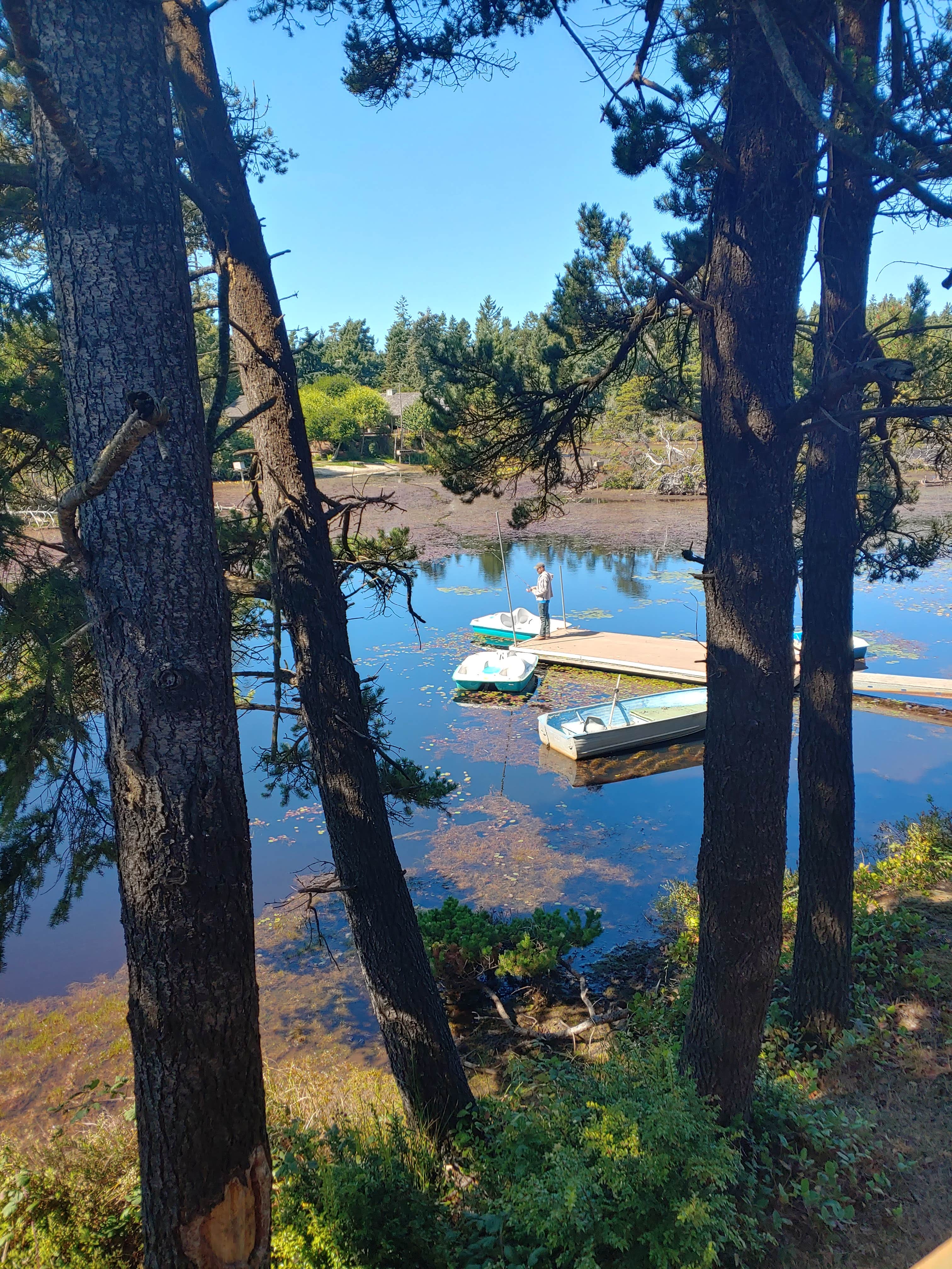 Camping near Spinreel: Oregon Dunes KOA, Siuslaw National Forest, Oregon