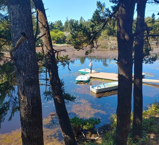 Camper-submitted photo from Oregon Dunes KOA