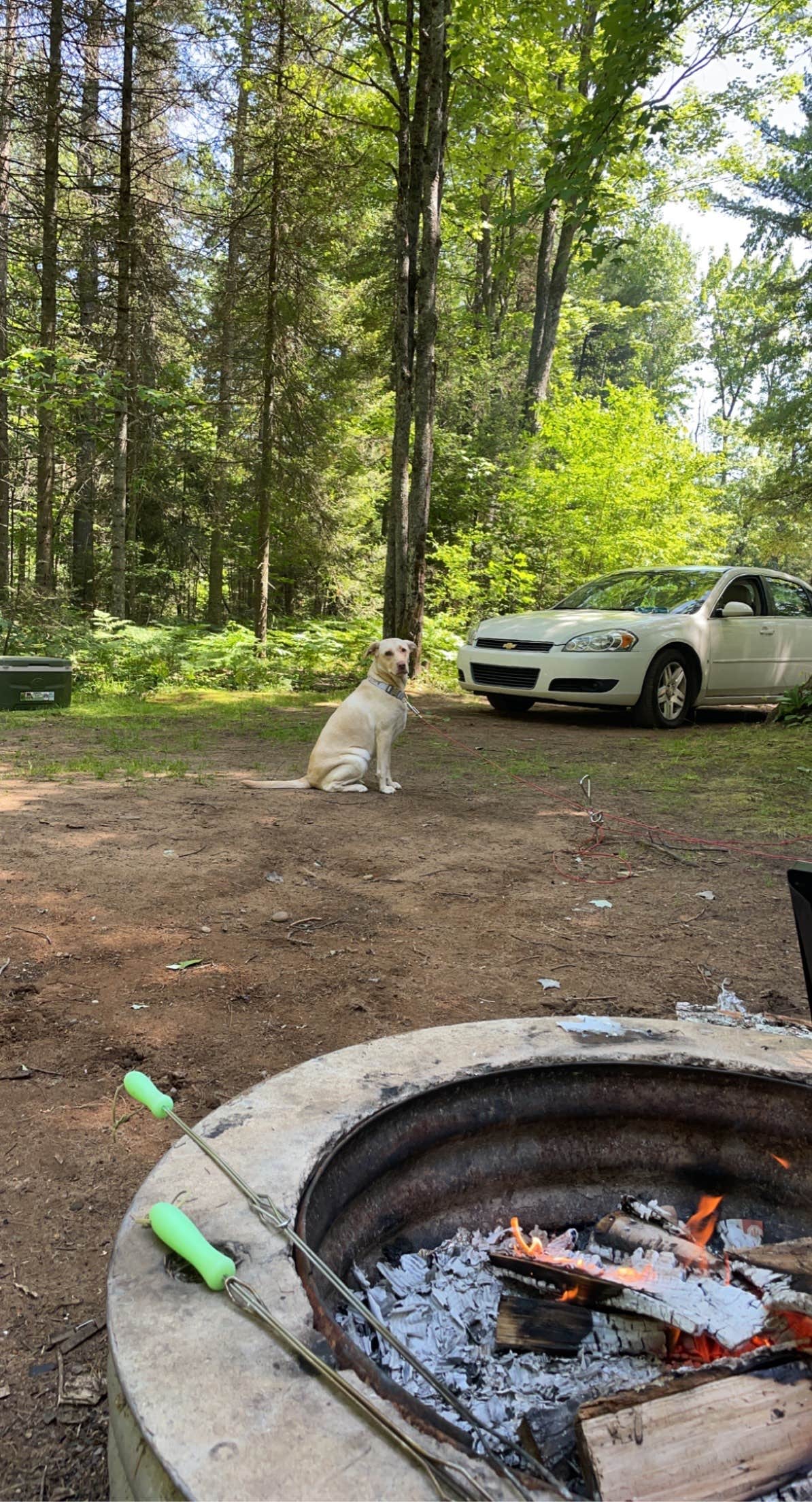 Paige H.'s photo of camping with pets at Little Lake State Forest Campground near Marquette, MI