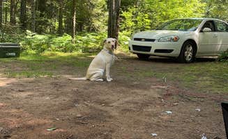 Paige H.'s photo of camping with pets at Little Lake State Forest Campground near Ishpeming, MI