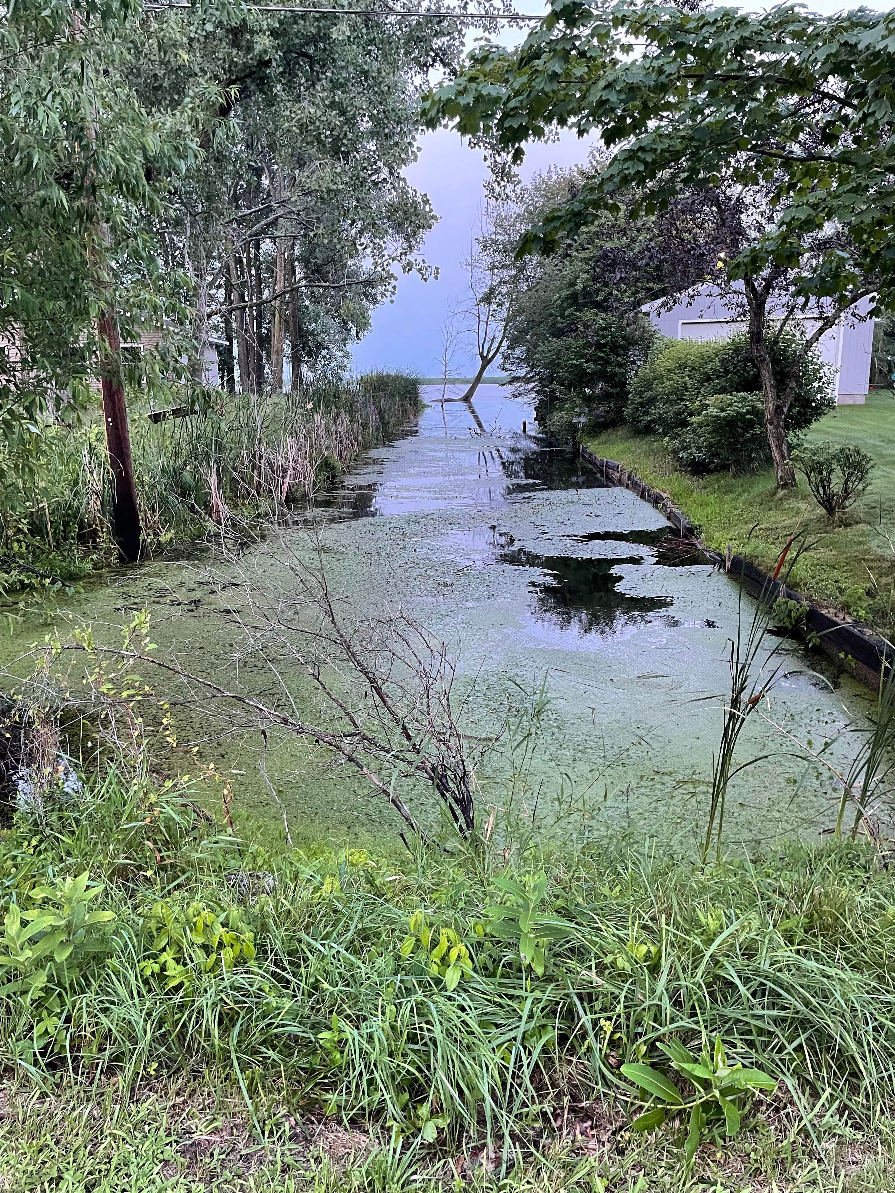 Camper submitted image from Point Au Gres Marina & Campground - 5