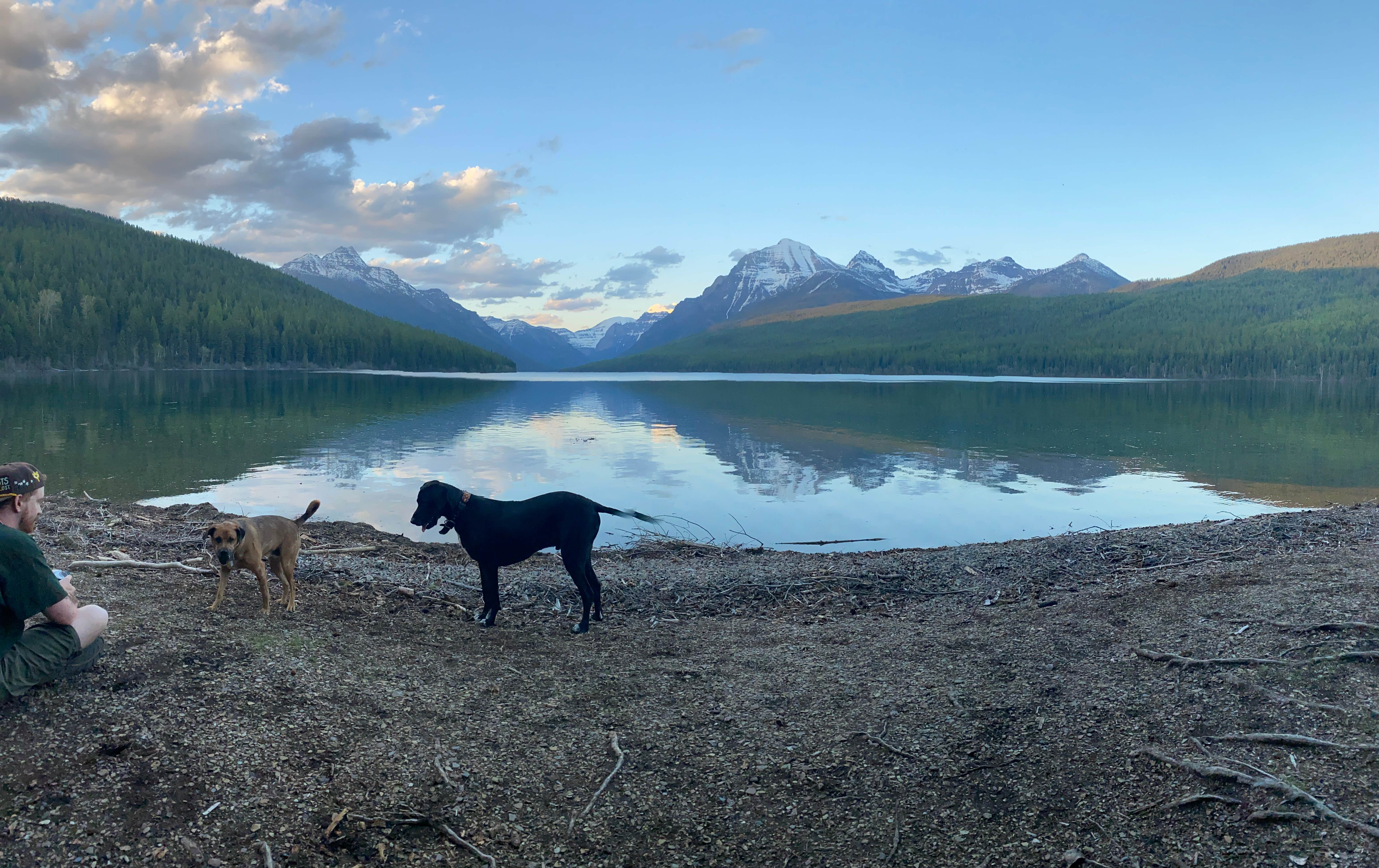 Cody L.'s photo of camping with pets at Bowman Lake Campground — Glacier National Park near Babb, MT