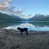 Review photo of Bowman Lake Campground — Glacier National Park by Cody L., September 12, 2021