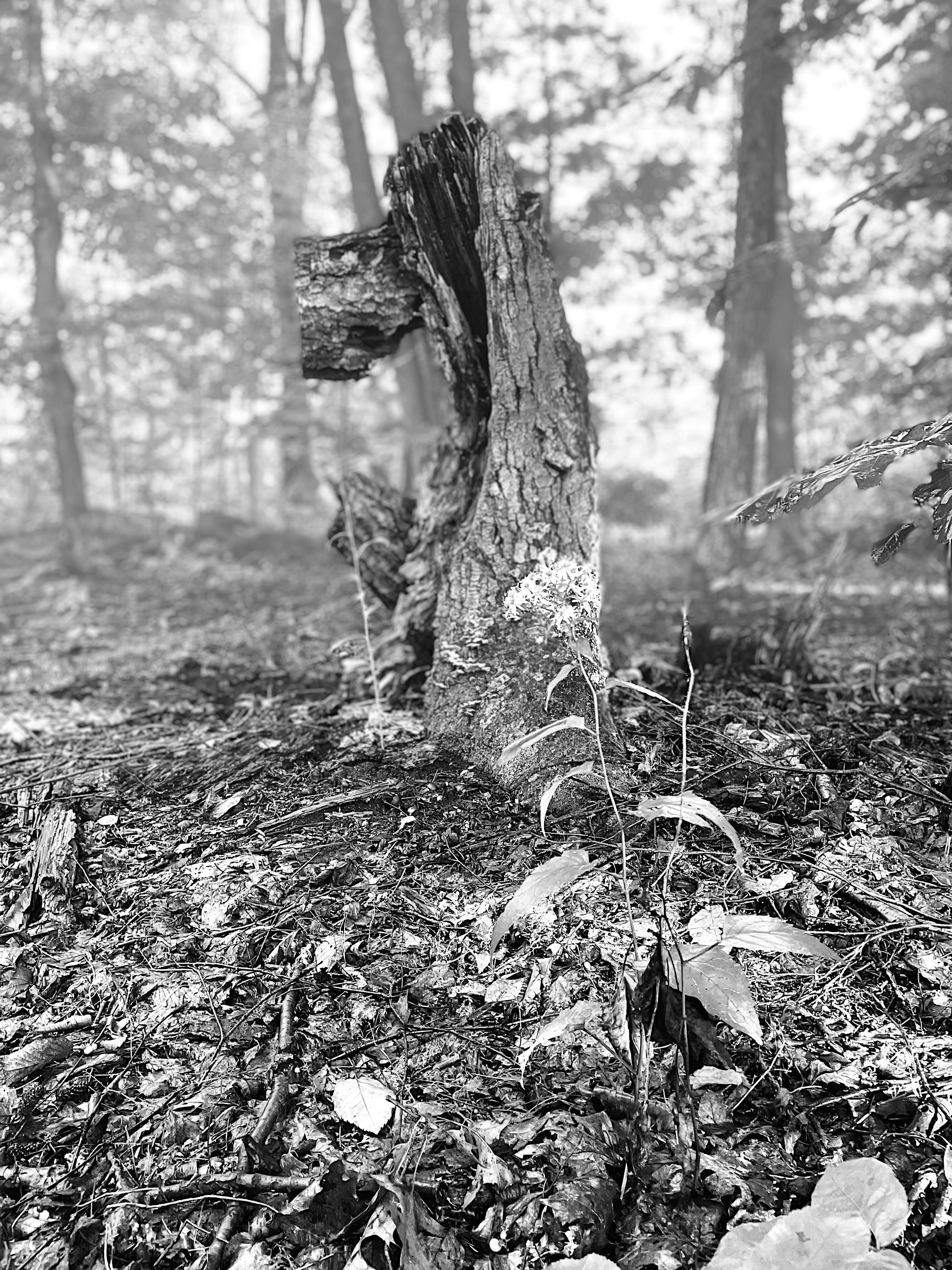 Highland Campgrounds