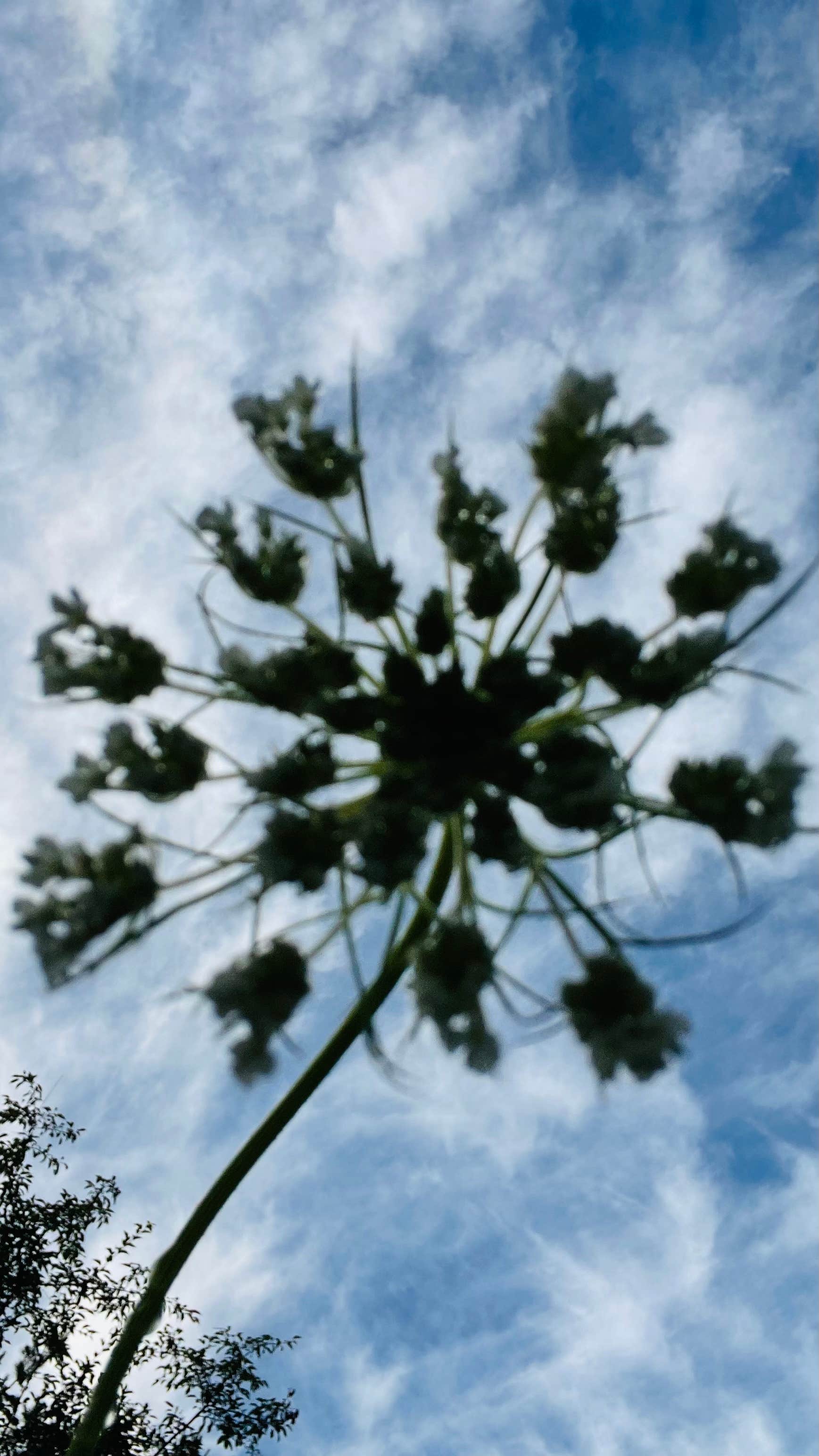 Camper-submitted photo at Highland Campgrounds near Fleetville, PA