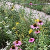 Review photo of Jay Cooke State Park Campground by Cody L., September 12, 2021