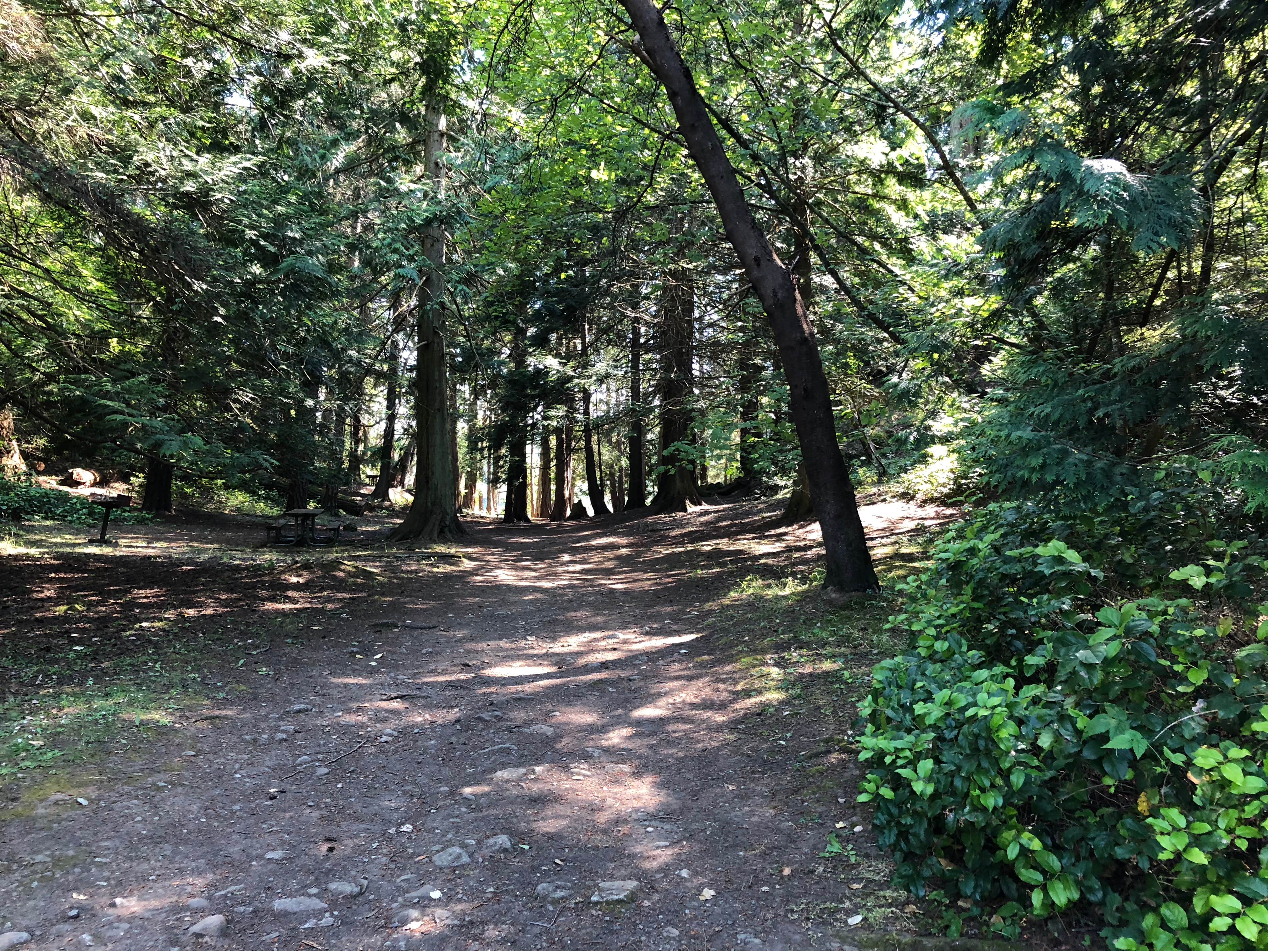 Camper submitted image from Stuart Island Marine State Park Campground - 2