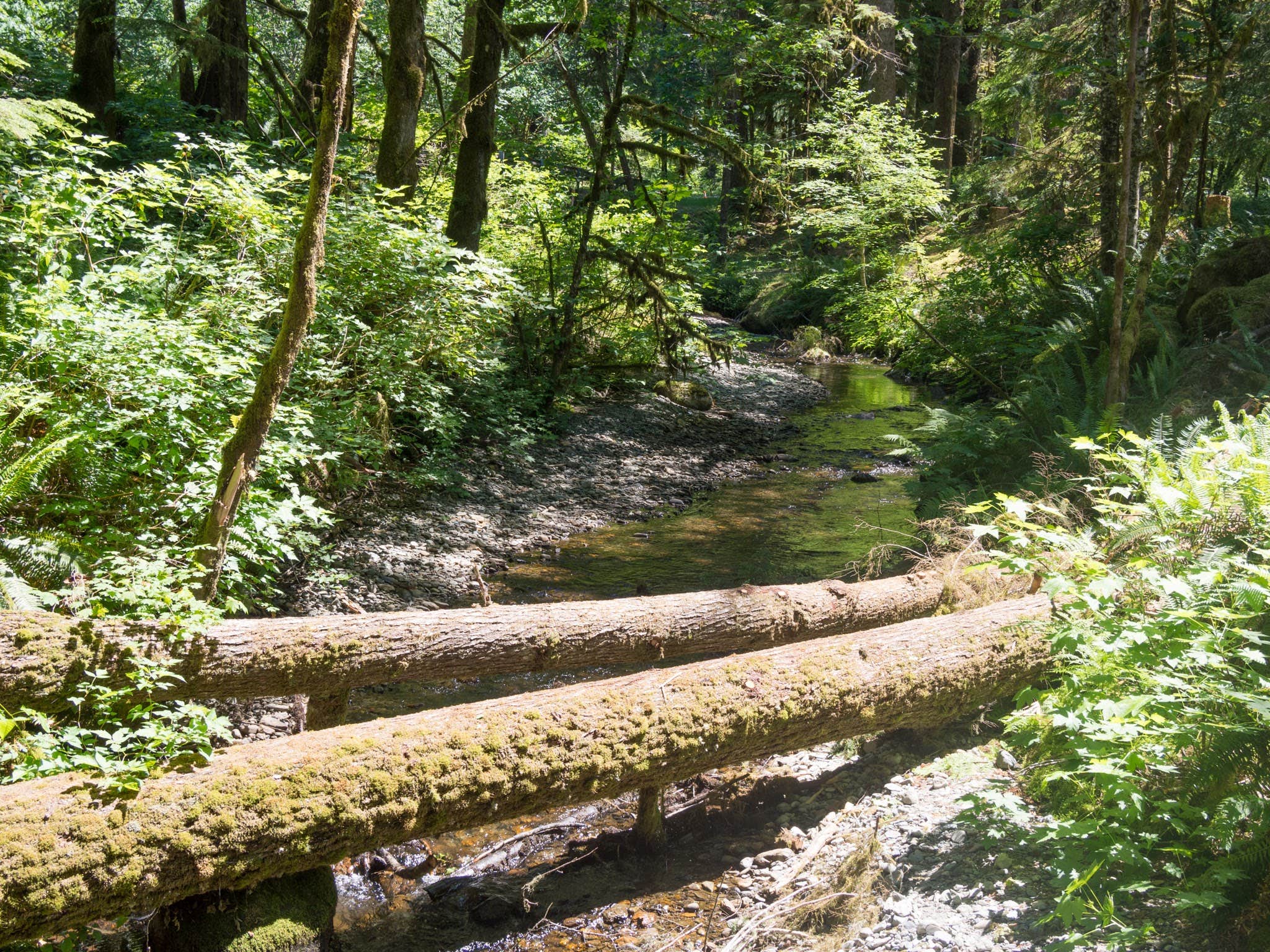 Camper submitted image from Verlot Campground - 5