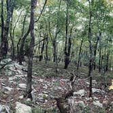 Review photo of Upper Improved Campground — Cheaha State Park by Lakyn B., September 12, 2021